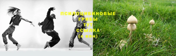 первитин Дмитров