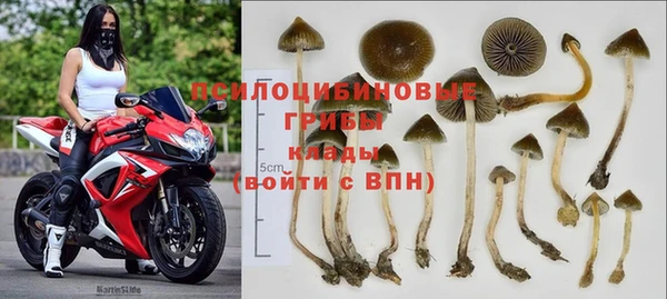 первитин Дмитров