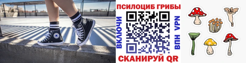 Псилоцибиновые грибы MAGIC MUSHROOMS  Купить  Зерноград 